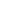 Experienced and Skilled Team
